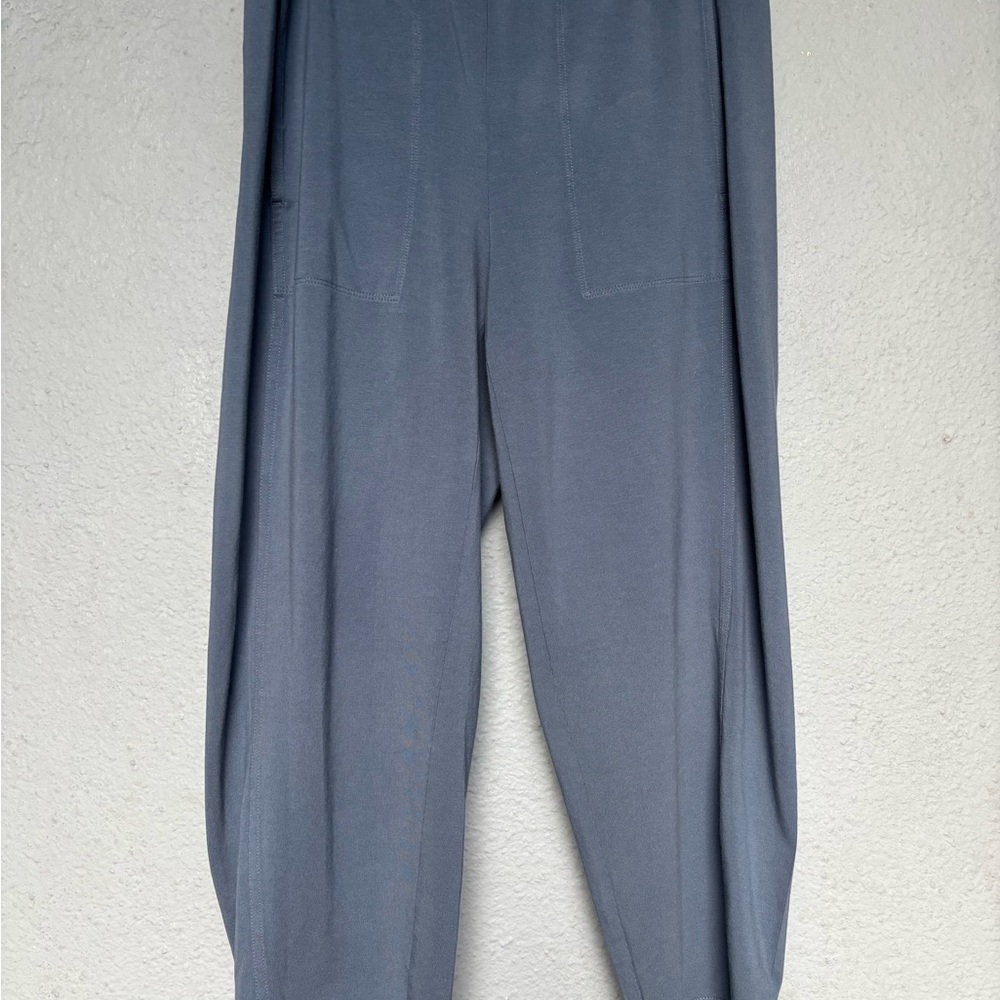 Eileen Fisher Women’s Slate Chinos